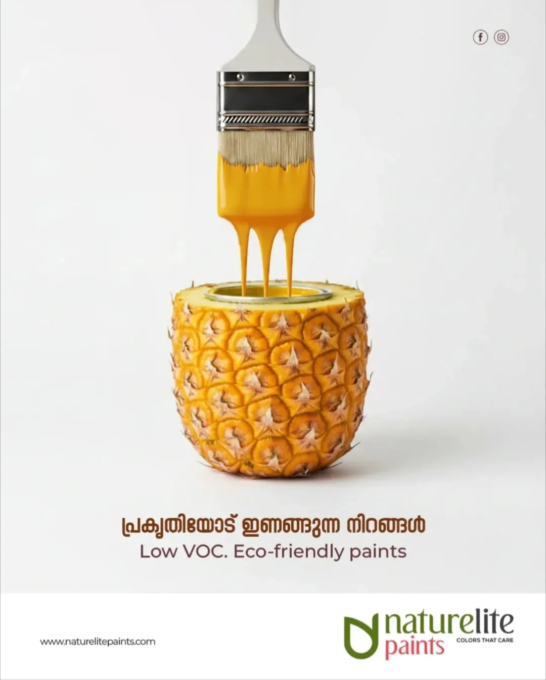 Naturelite Paints Creative